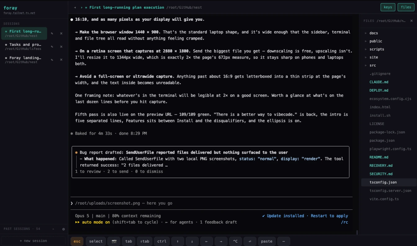 Foray in a browser: session sidebar, terminal and file tree.